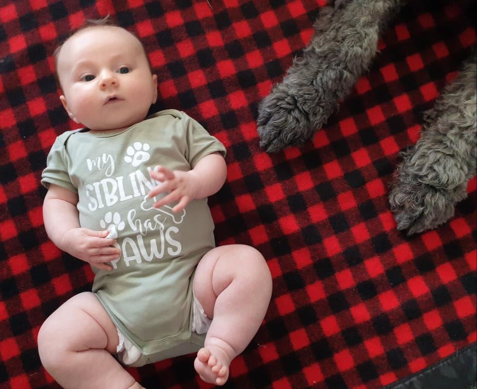 My Sibling Has Paws | Short Sleeve Baby Onesie