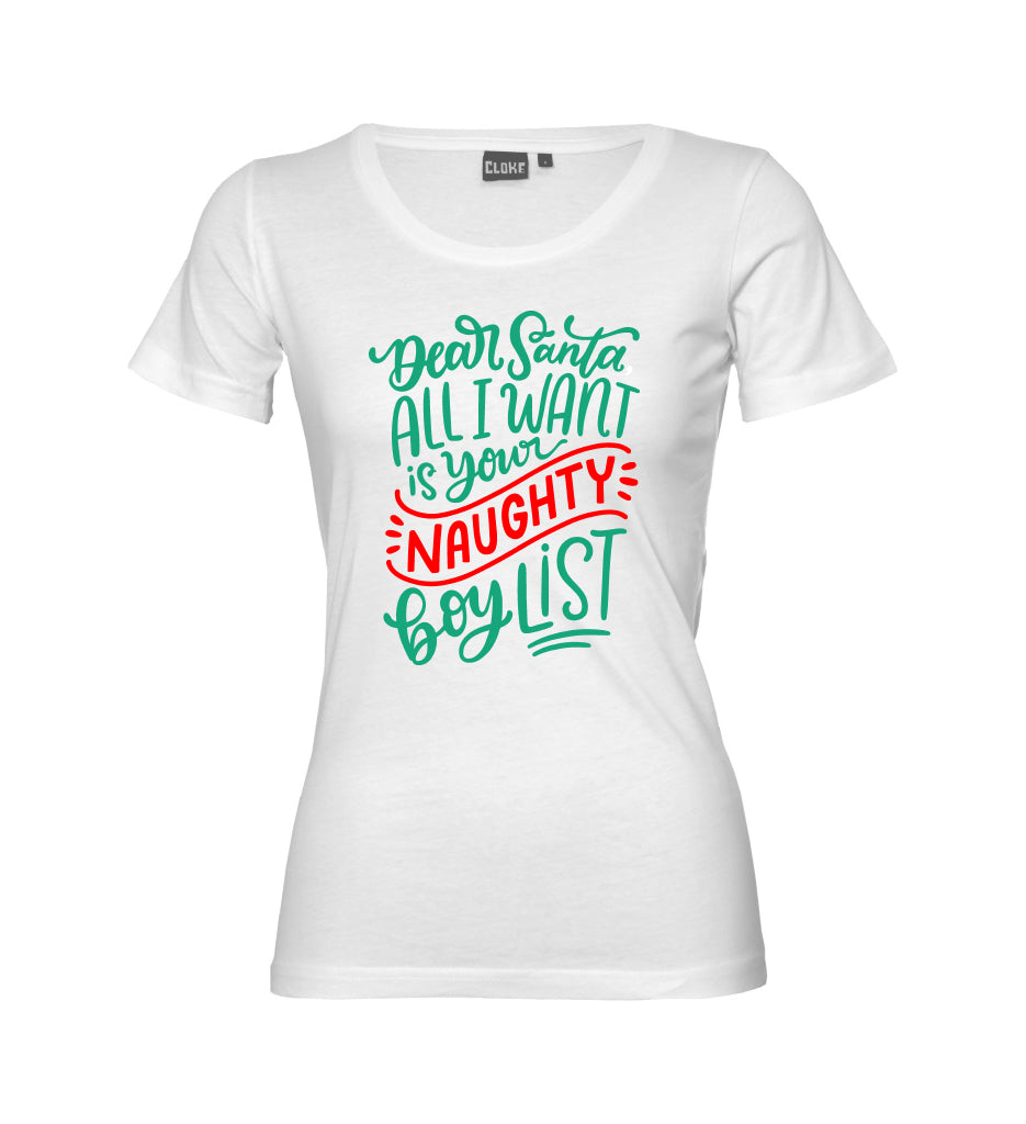 Dear Santa, All I Want is Your Naughty Boy List T-Shirt